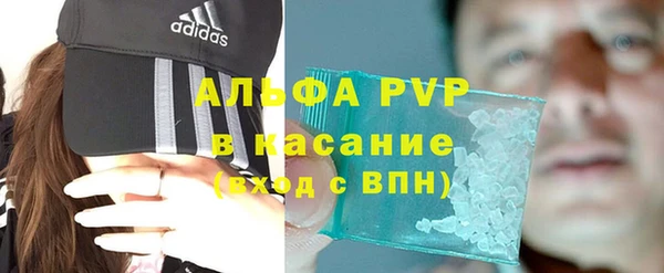 индика Абинск