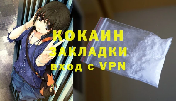 индика Абинск