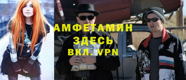 индика Абинск